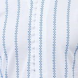 Men White with Blue Linear Pattern Chikankari Embroidered Cotton Kurta Set