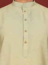 Pistachio Green Delux Cotton Solid Straight Kurta